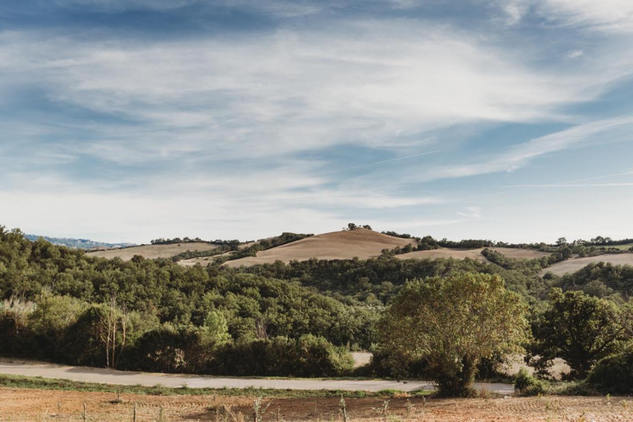 Agriturismo Podere Il Sorbo Campagnatico Zewnętrze zdjęcie